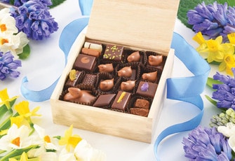 Chocolate Duck Assortment 