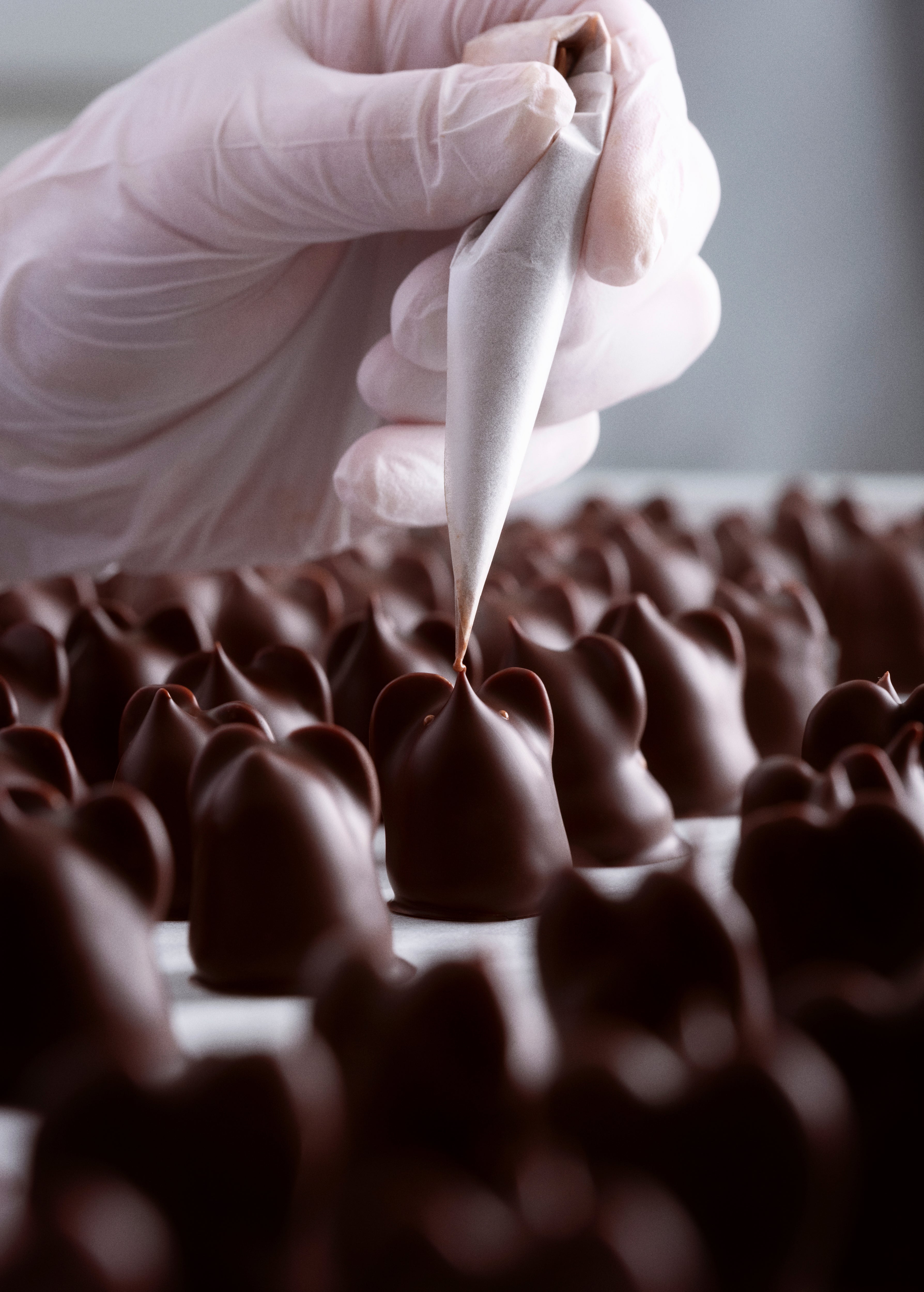 Chocolate Mice & Penguins