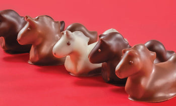 Chocolate Horses