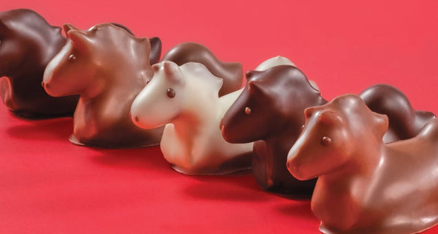 Chocolate Horses