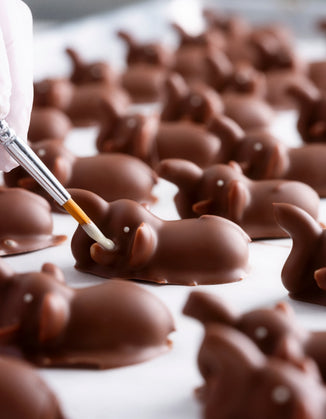 Chocolate Elephants on a white background