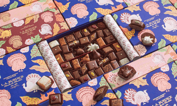 Beautifully illustrated Thanksgiving assortment boxes with chocolates nested inside.