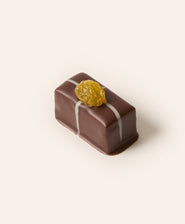 Rectangular dark chocolate adorned with a yellow raisin.