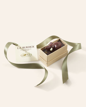 Dark chocolate elephant in a box with a green ribbon on a light background