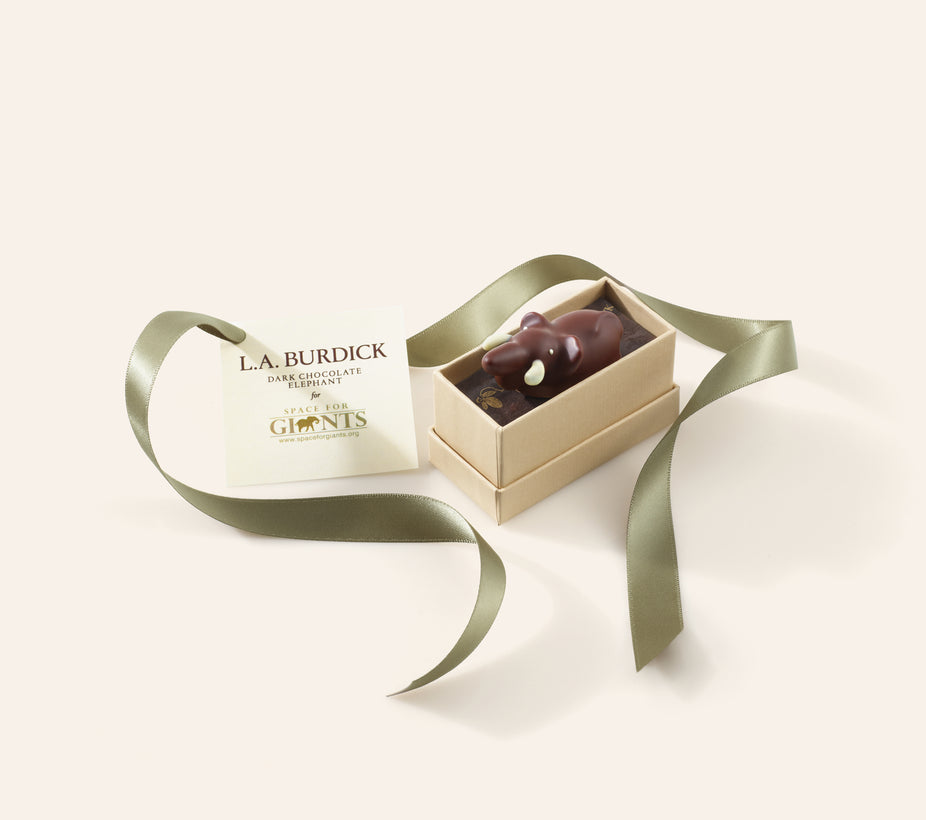 Dark chocolate elephant in a box with a green ribbon on a light background