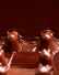 Chocolate Cats, 2 Pieces