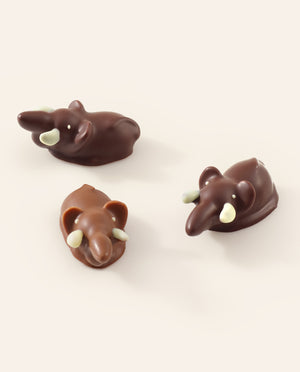 Milk and Dark Chocolate Elephant bonbons with white tusks