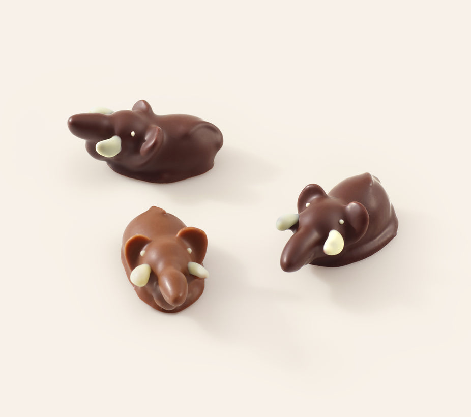 Milk and Dark Chocolate Elephant bonbons with white tusks