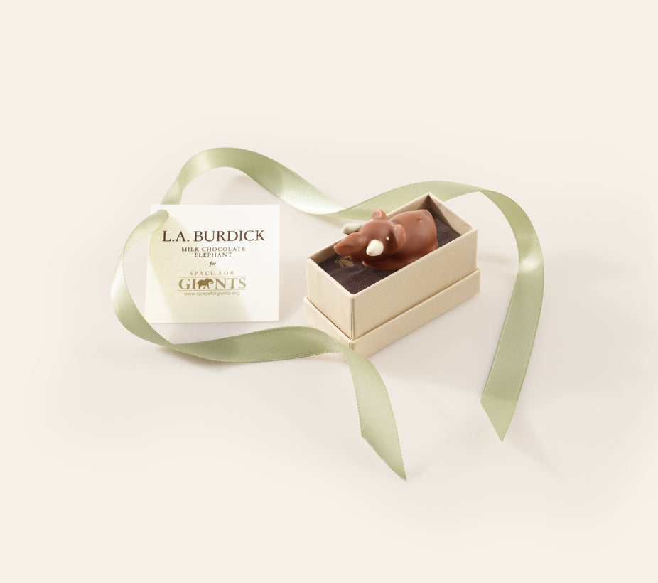 Milk Chocolate Elephant with white chocolate tusks tucked into a gift box and finished with a green satin ribbon.