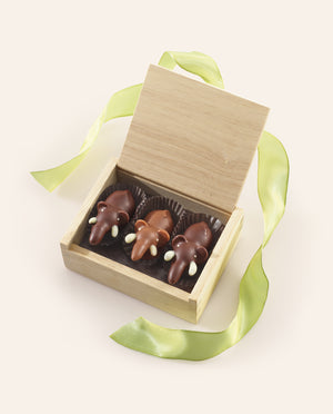 Open wooden box containing two Dark Chocolate Elephants and one Milk Chocolate Elephant, with a green satin ribbon