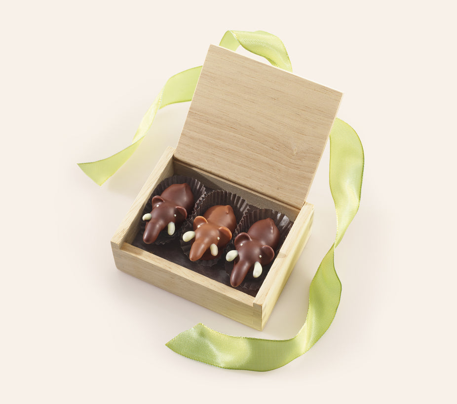 Open wooden box containing two Dark Chocolate Elephants and one Milk Chocolate Elephant, with a green satin ribbon
