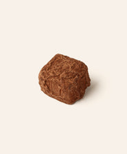 Small cube shaped cocoa truffle on a cream background