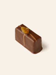 Single artisan chocolate piece coated in smooth milk chocolate with a caramel drizzle and a dried fig garnish on top against a light background.