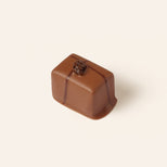 Rectangular milk chocolate bonbon with a two crossing lines of dark chocolate and a dried current in the center.
