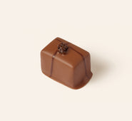 Rectangular milk chocolate bonbon with a two crossing lines of dark chocolate and a dried current in the center.