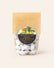 Chocolate-Covered Cashews