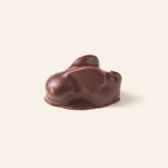 Dark chocolate rabbit bonbon on a cream background