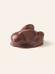 Dark chocolate rabbit bonbon on a cream background