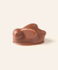Milk chocolate bunny bonbon on a light cream background