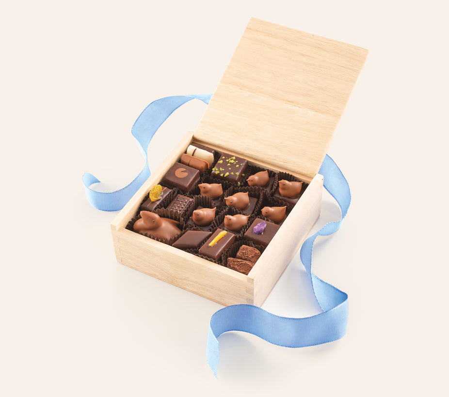 Large Chocolate Mother Duck & Ducklings assortment of bonbons in an open wooden gift box with blue ribbon.