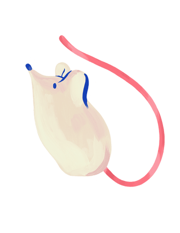 Minimalist digital illustration of a small white mouse with blue details and a long pink tail.