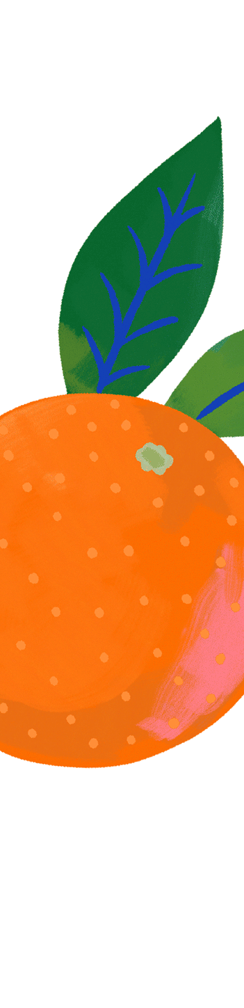 Illustrated orange with two leaves in bold colors