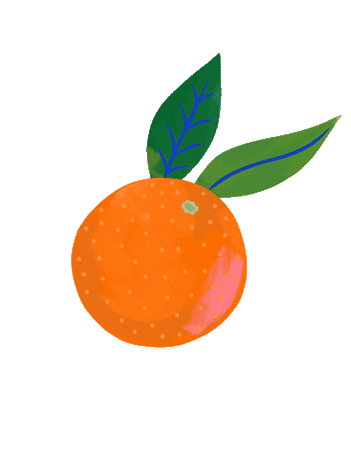 Illustrated orange with two leaves in bold colors