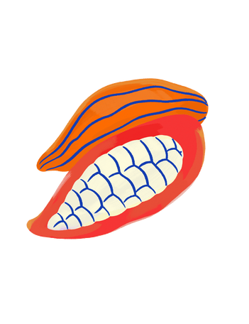 Stylized digital illustration of an opened cocoa pod showing white cacao beans inside, with orange and blue striped outer shell.