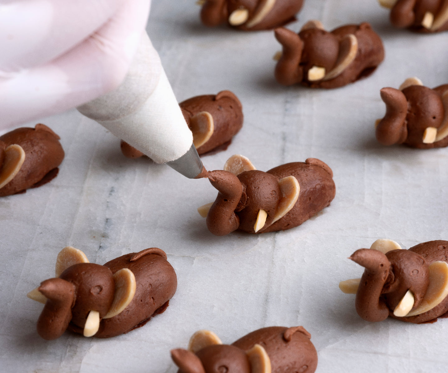 The trunk on a Chocolate Elephant is hand-piped by one of our chocolatiers.