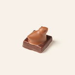 Chocolate figurine of a duck on a square base against a beige background