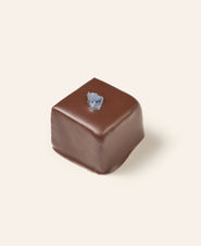 Square chocolate bonbon adorned with candied lavender on a beige background