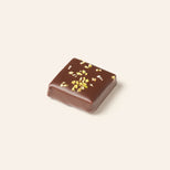Chocolate square bonbon with pistachio bits on a light beige background