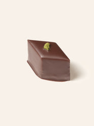 Chocolate bonbon with a green candied mint topping on a cream background