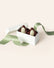 2 Chocolate Penguin Favor