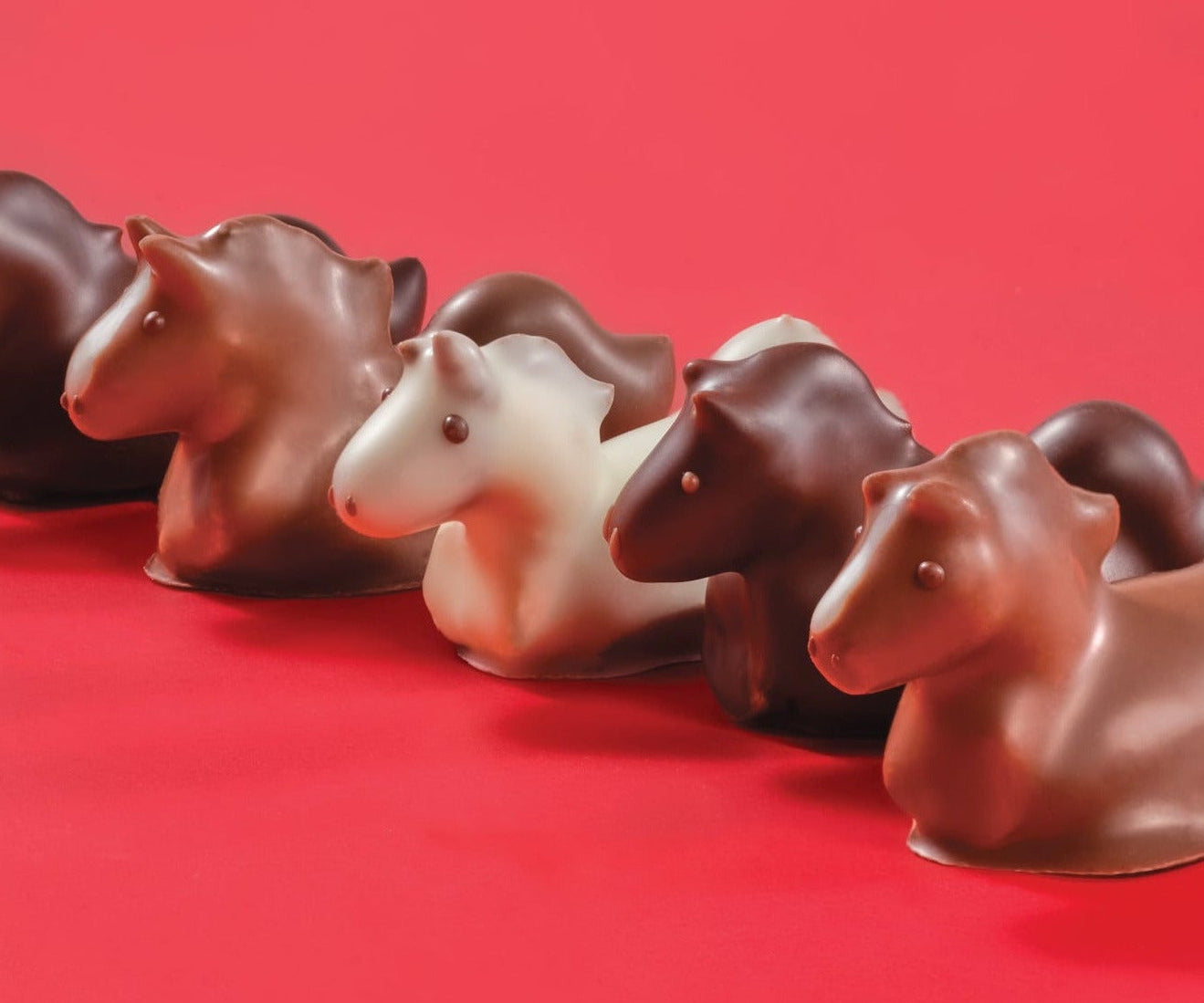 Chocolate horse figurines in various colors on a red background