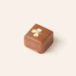 Square milk chocolate bonbon with a four-leaf clover design in white chocolate on a light cream background