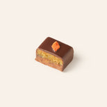 Square chocolate bonbon cut in half revealing a layered marzipan interior a orange carrot bit garnishes the top surface.