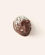 dark chocolate sheep bonbon on a cream background