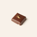 Square dark chocolate bonbon garnished with four caraway seeds