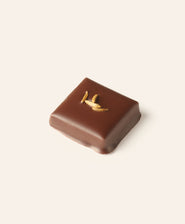Square dark chocolate bonbon garnished with four caraway seeds