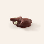 Dark chocolate elephant bonbon on a cream background