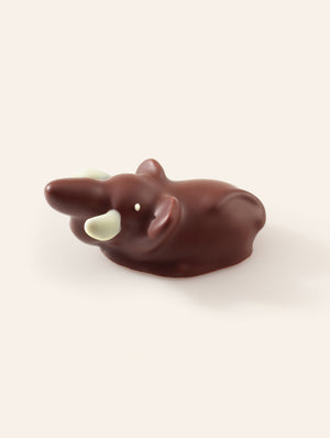 Dark chocolate elephant bonbon on a cream background