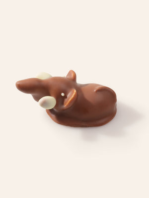 Chocolate Elephant bonbon with white tusks and almond ears