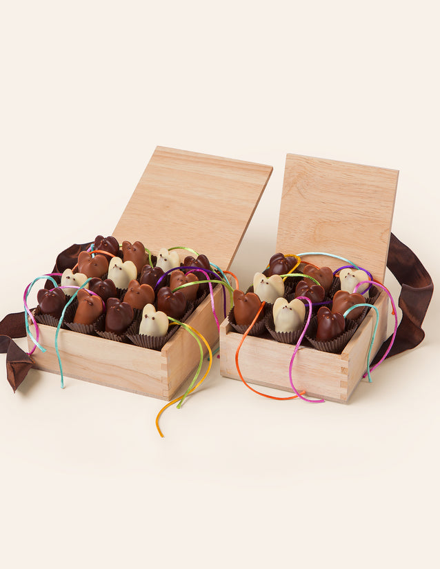 Two wooden gift boxes filled with chocolate mice on a white background