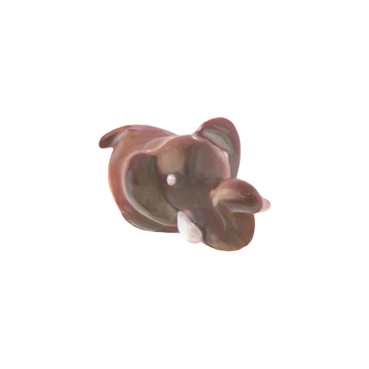 Dark Chocolate Elephant